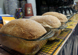 Bread - Whole Wheat